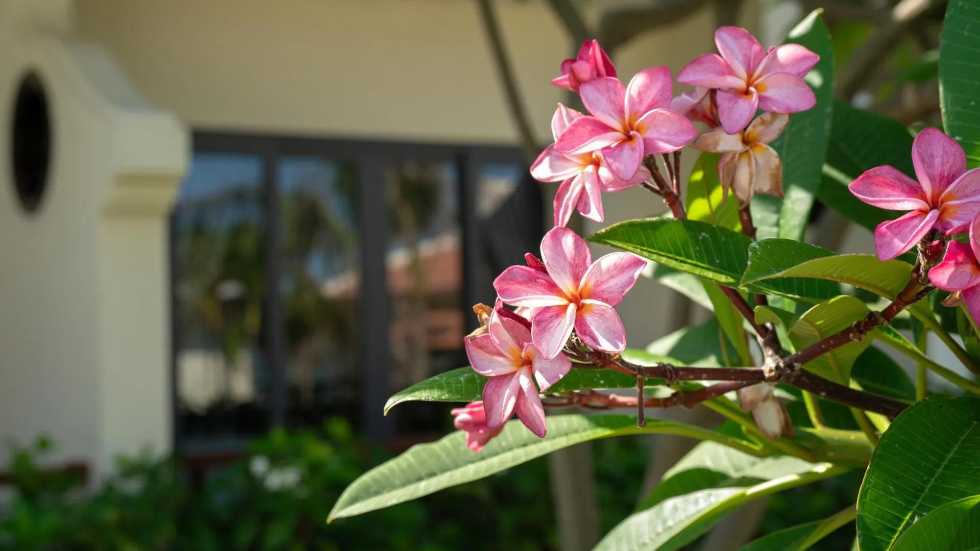 Blooming Lotus Resort Spa Phan Thiet