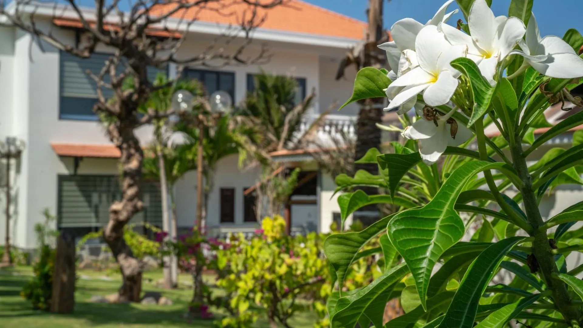 Blooming Lotus Resort Spa Phan Thiet Vietnam