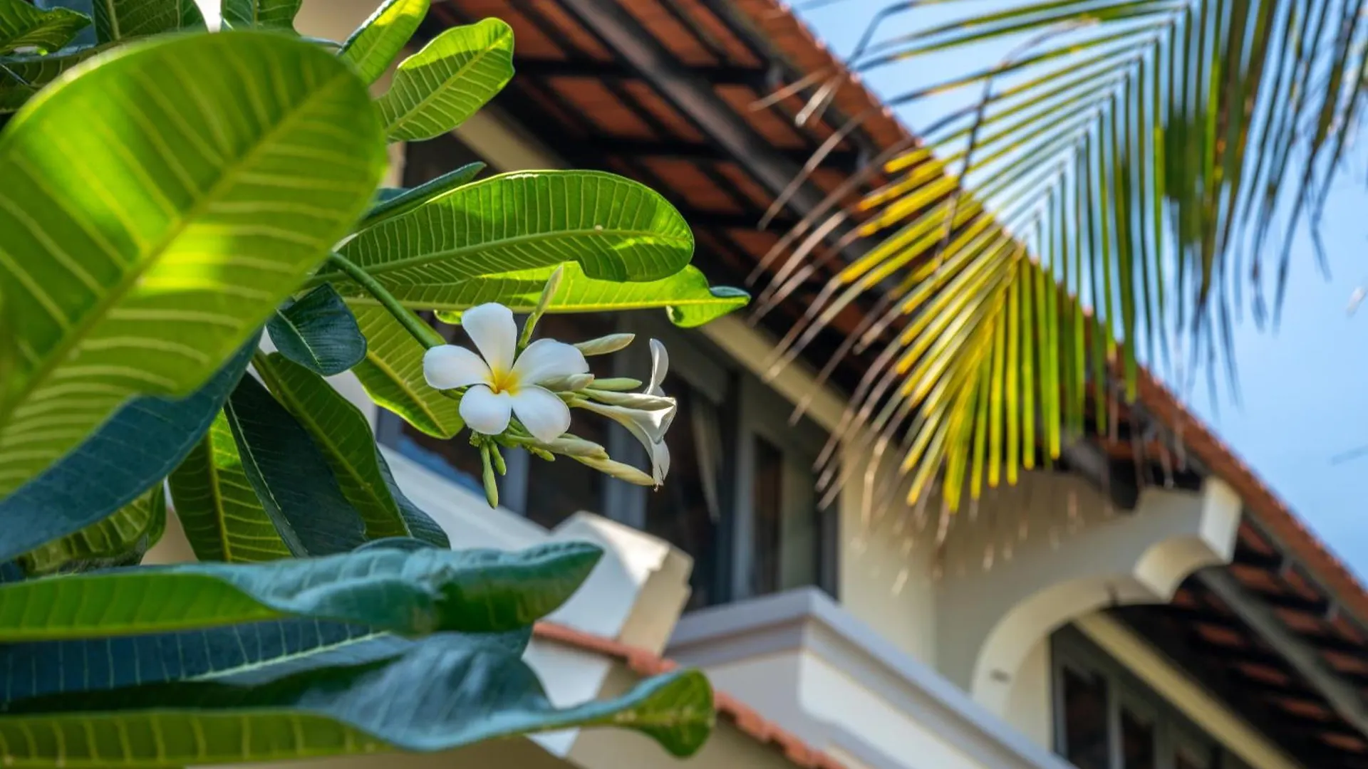 Blooming Lotus Resort Spa Phan Thiet 0*,
