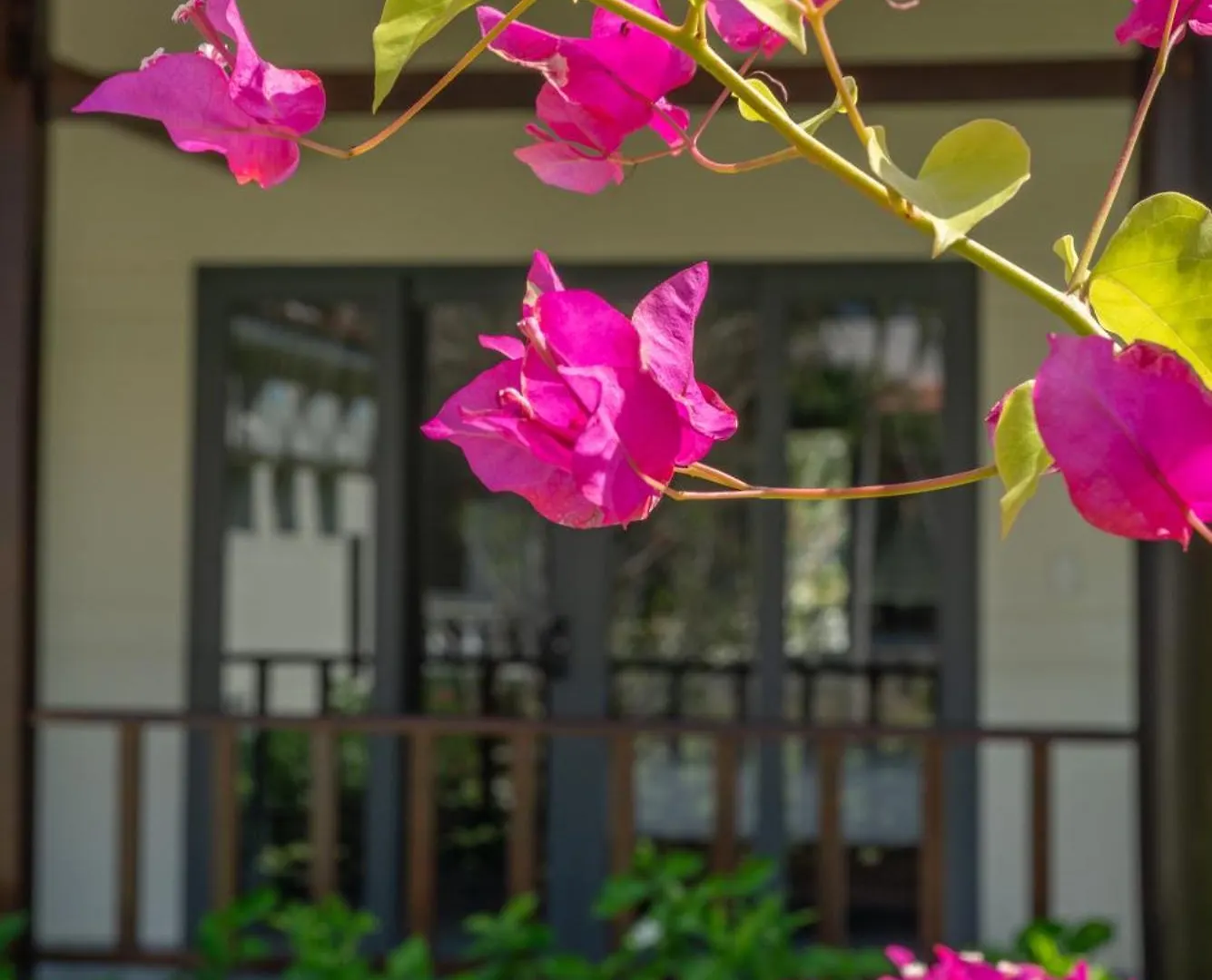 Blooming Lotus Resort Spa Phan Thiet
